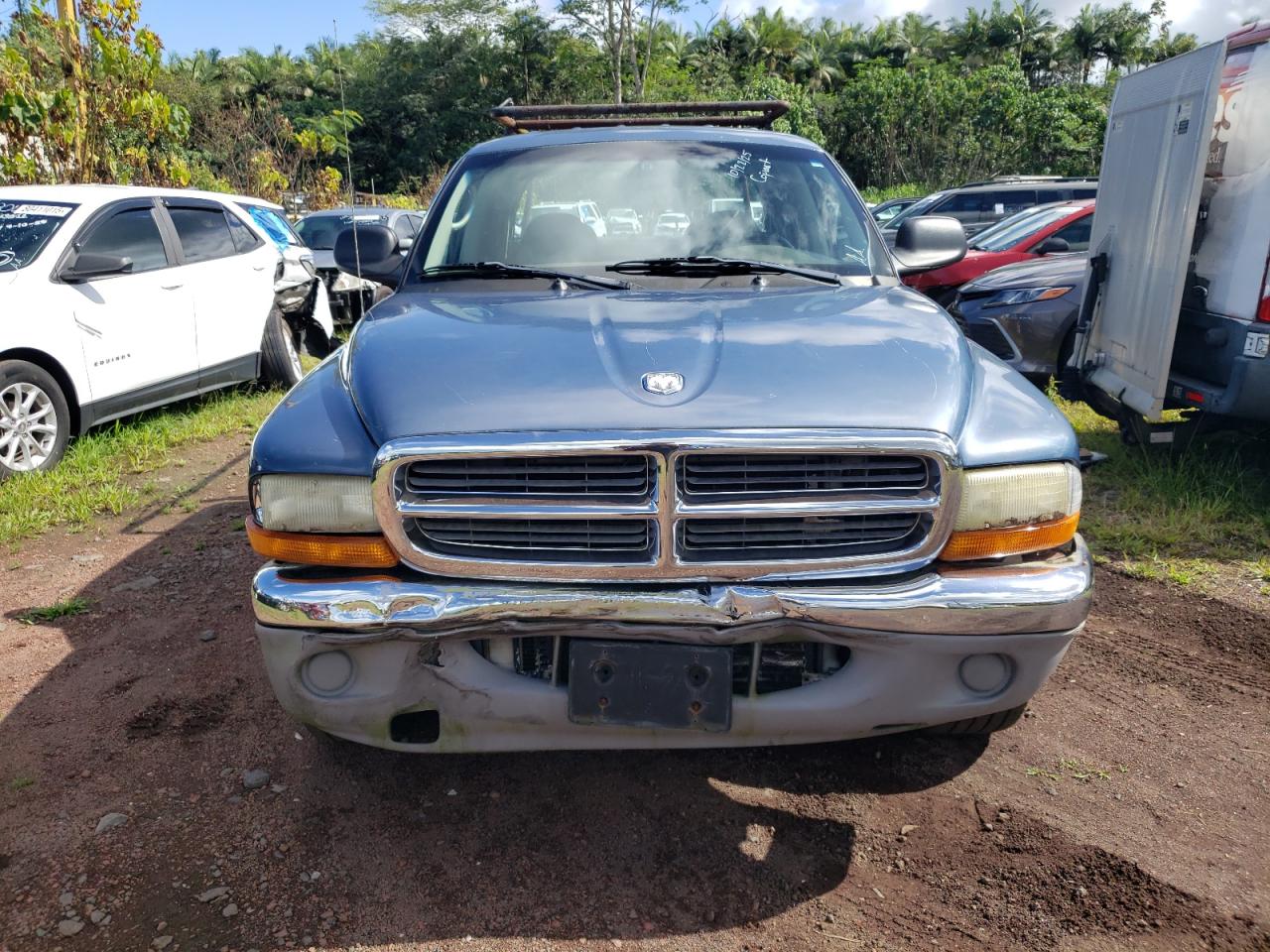Lot #3292861568 2003 DODGE DAKOTA QUA