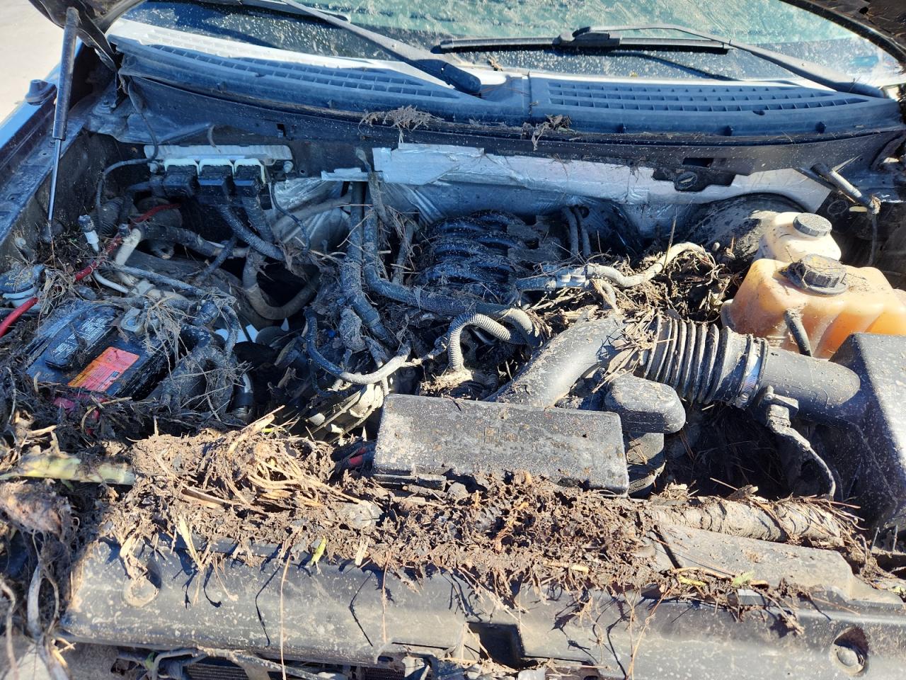 FORD F-150 SUPERCREW