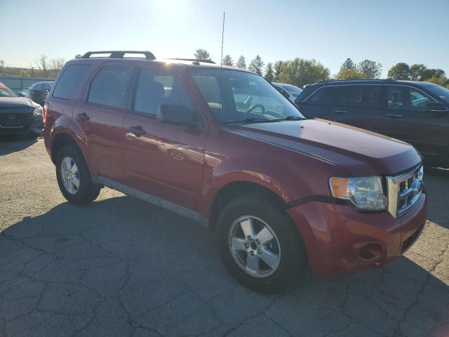 2010 FORD ESCAPE XLT - 1FMCU9DG7AKA44320