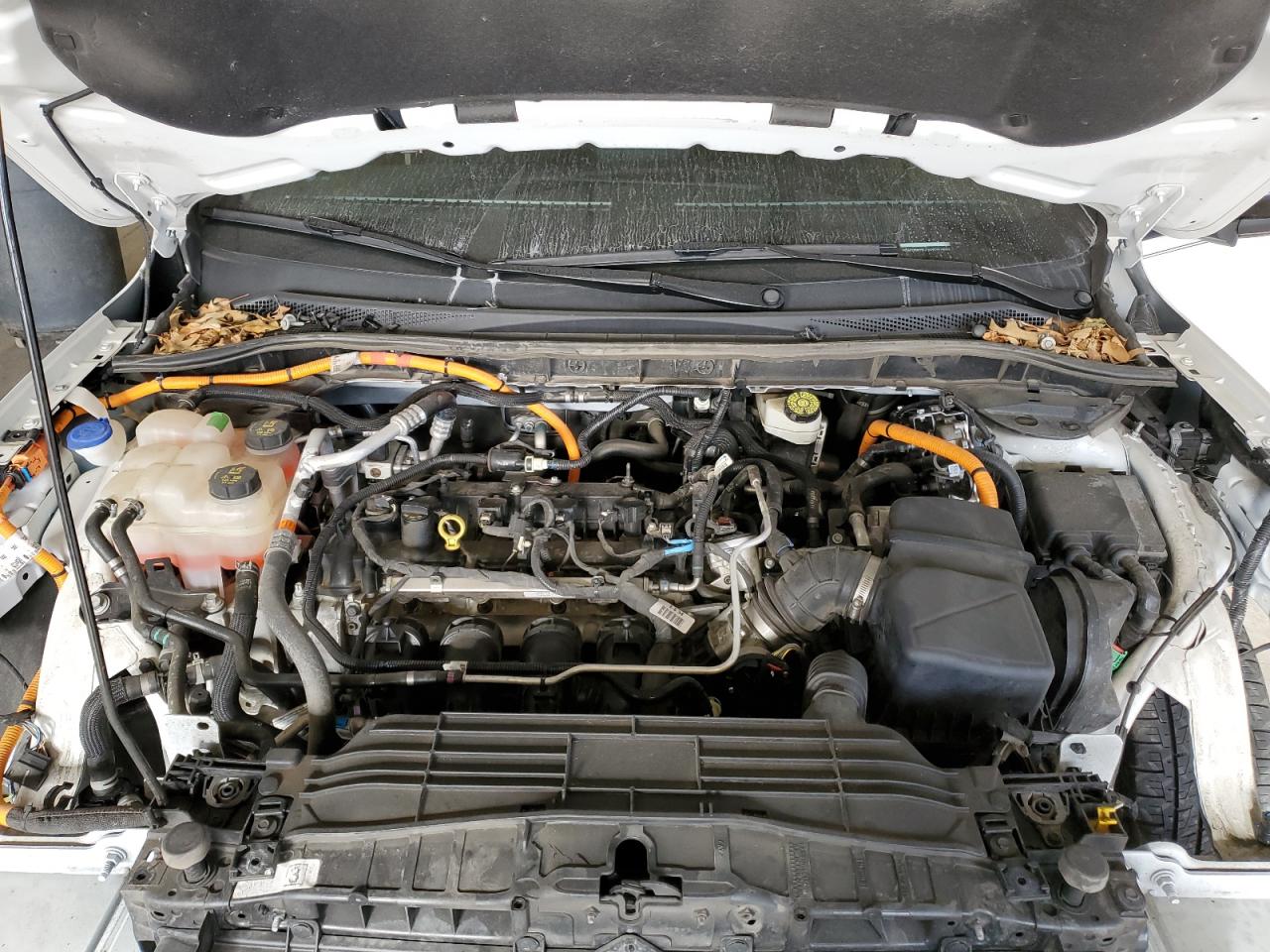 FORD ESCAPE SE SPORT