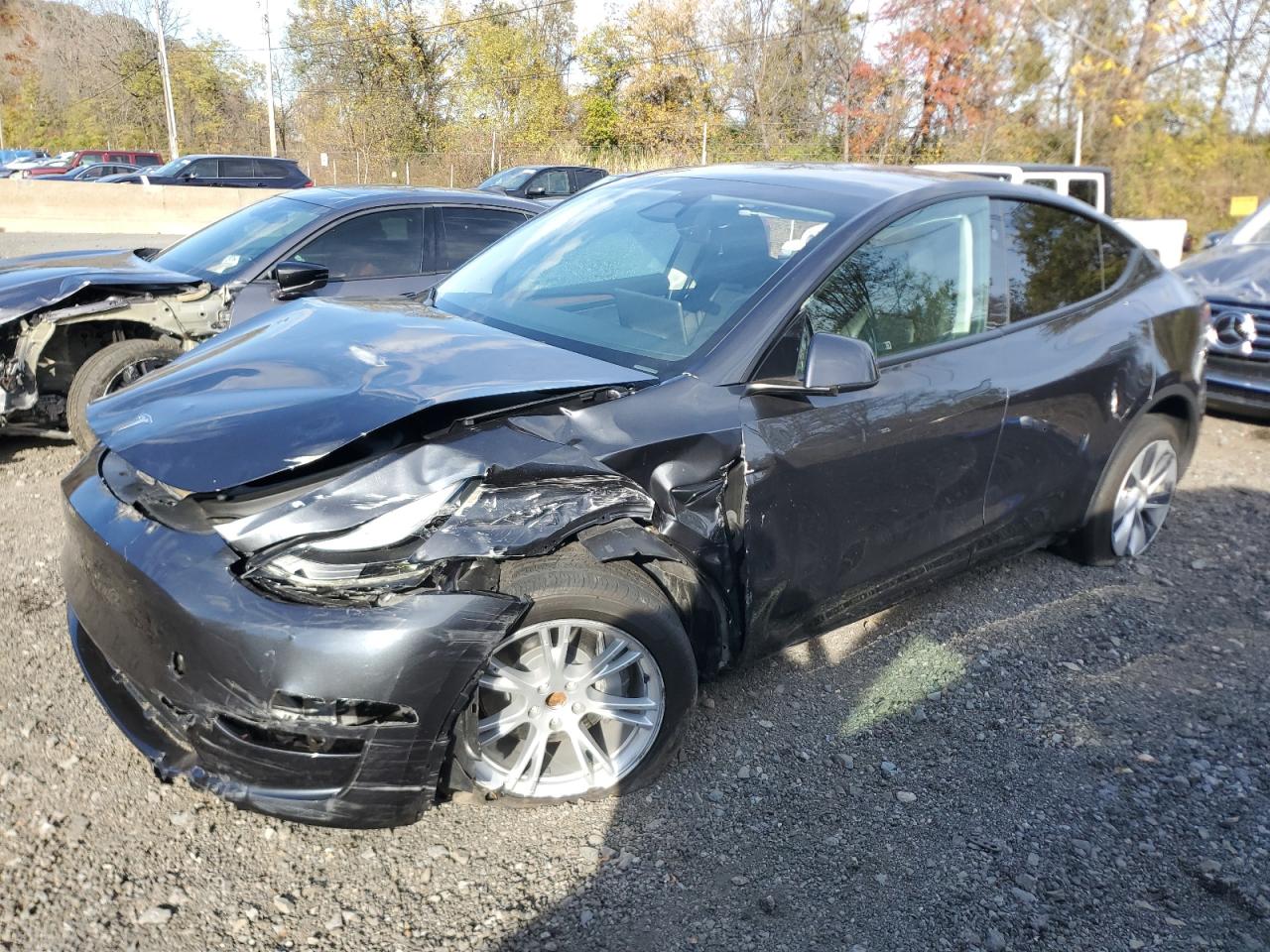 Lot #3284588391 2024 TESLA MODEL Y