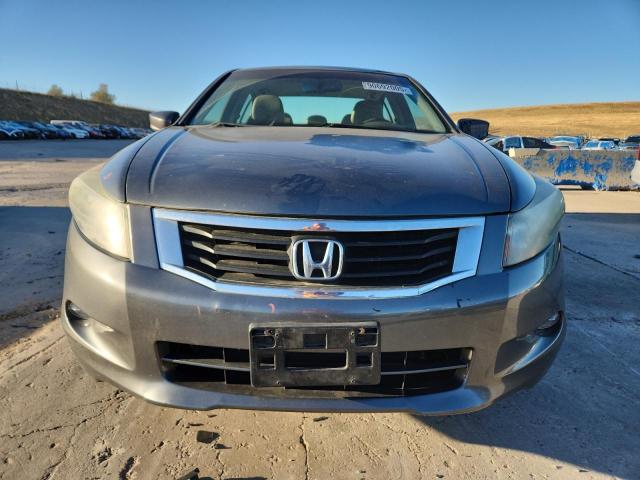 2010 HONDA ACCORD EXL - 1HGCP3F82AA005415