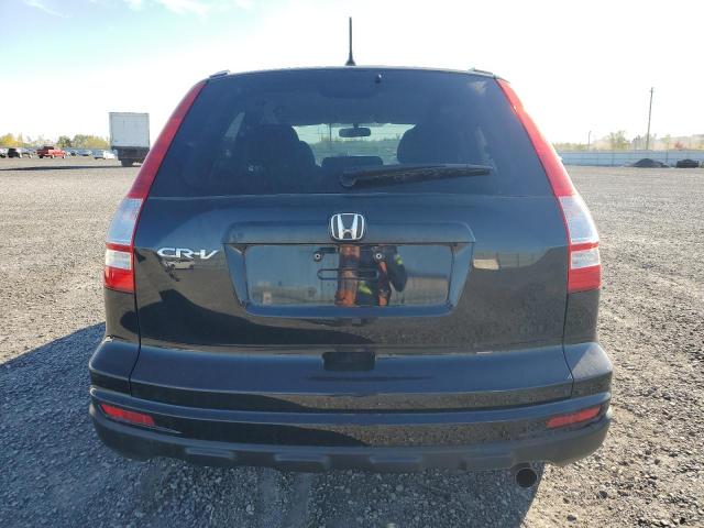 2010 HONDA CR-V LX - 5J6RE3H33AL803386