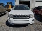 Lot #3293519450 2013 LAND ROVER LR2 HSE