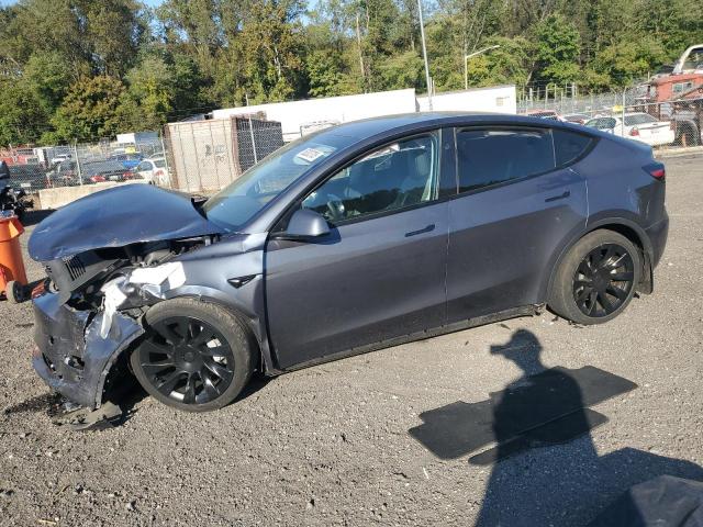 2023 TESLA MODEL Y - 7SAYGDEE5PA164060