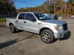 Lot #3305582118 2014 FORD F150 SUPER