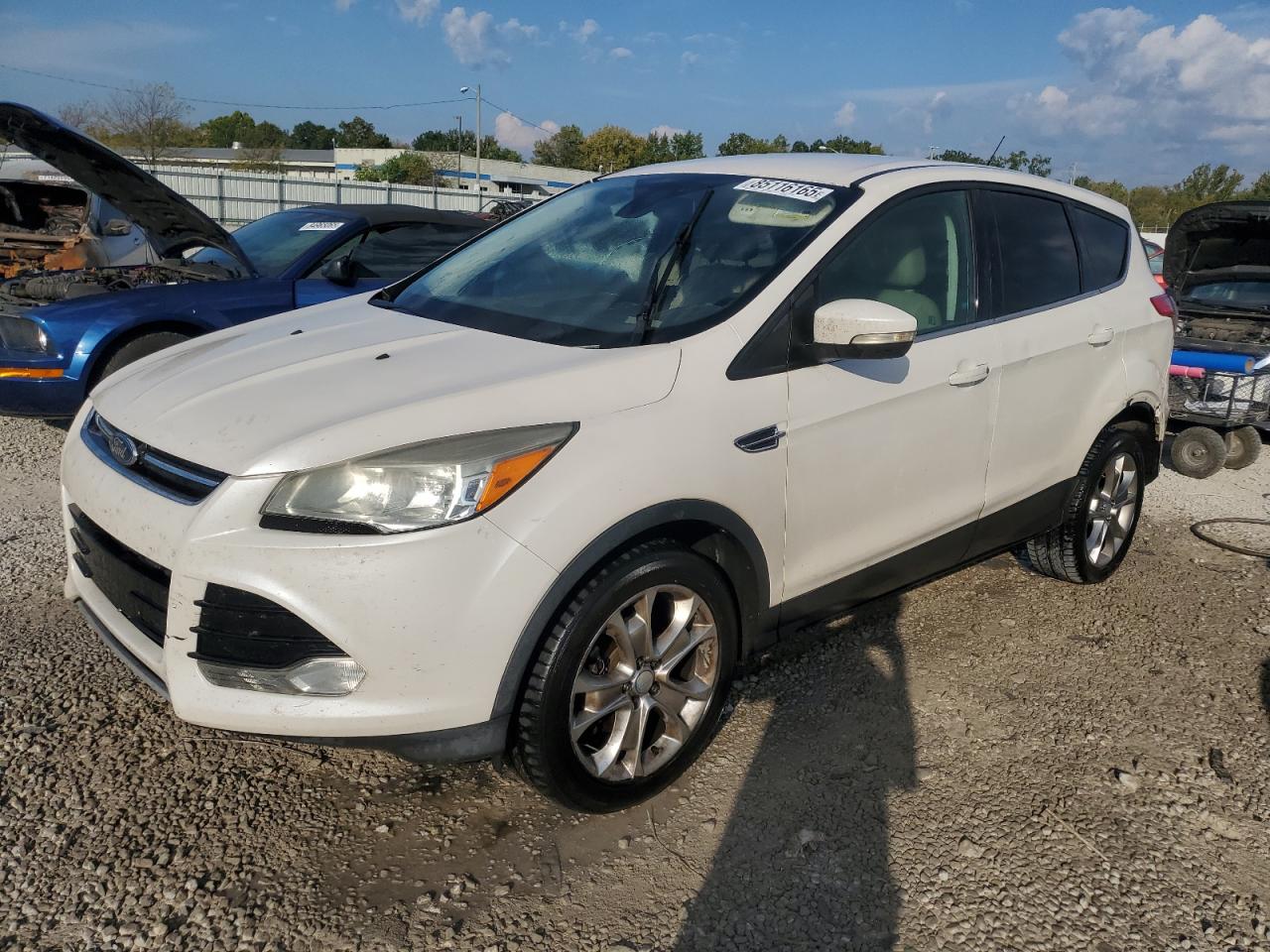 FORD ESCAPE SEL