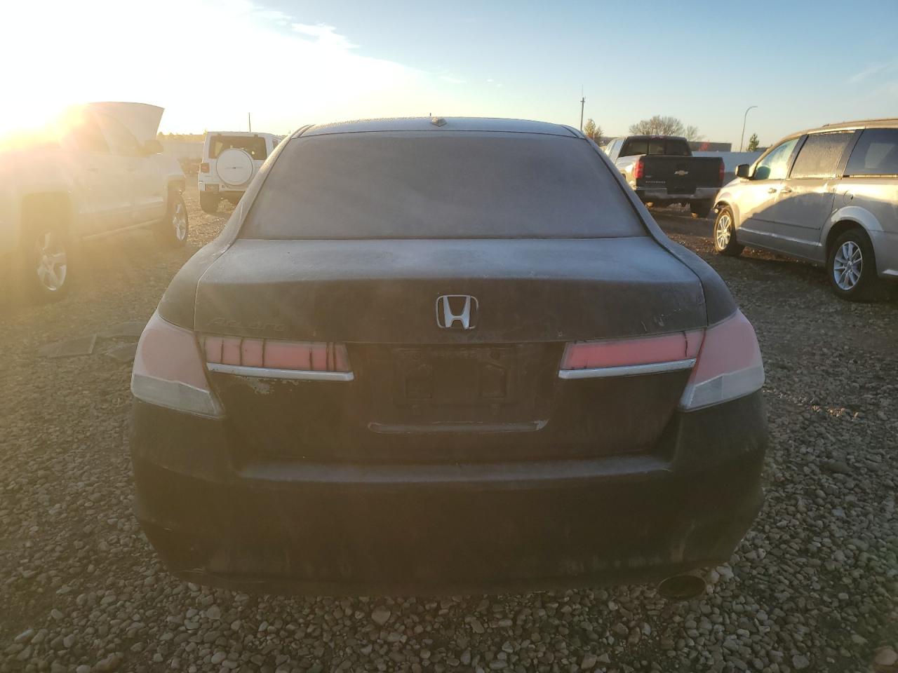 Lot #3275550044 2009 HONDA ACCORD EXL
