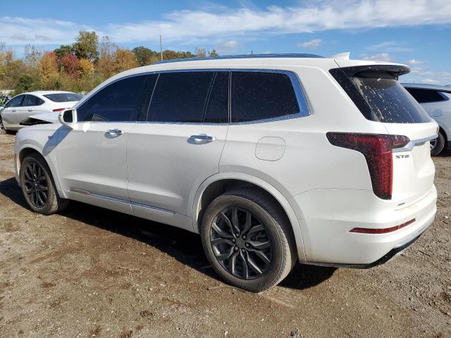 2020 CADILLAC XT6 PREMIUM LUXURY - 1GYKPDRS5LZ183728