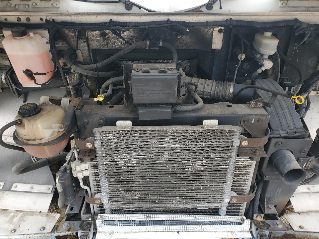 Lot #3290168197 2013 FORD F59