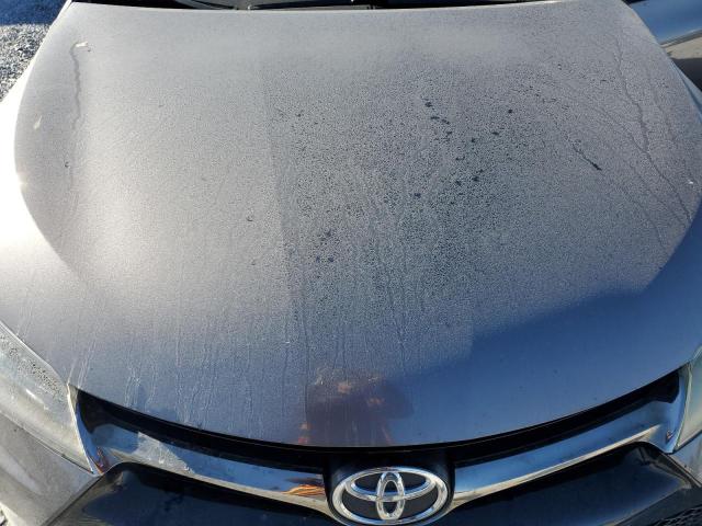 2016 TOYOTA CAMRY LE - 4T1BF1FK6GU173459