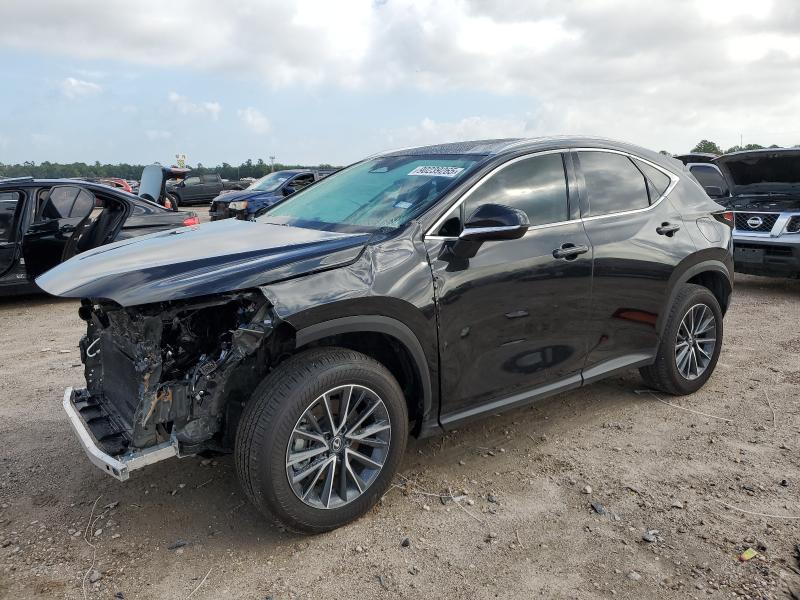 2025 LEXUS NX 250 PRE 2T2GDCAZ7SC031820