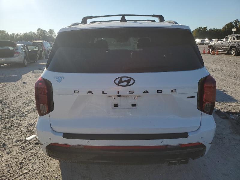 2024 HYUNDAI PALISADE C #3293428419