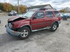 Lot #3308450317 2004 NISSAN XTERRA XE