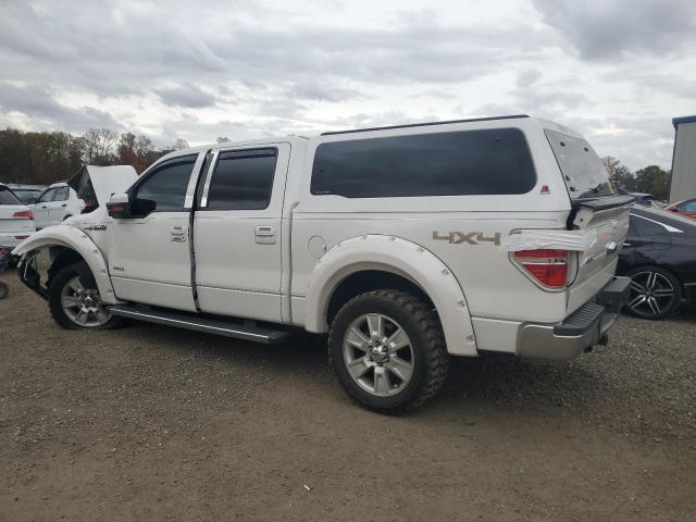 2013 FORD F150 LARIA #3290200218