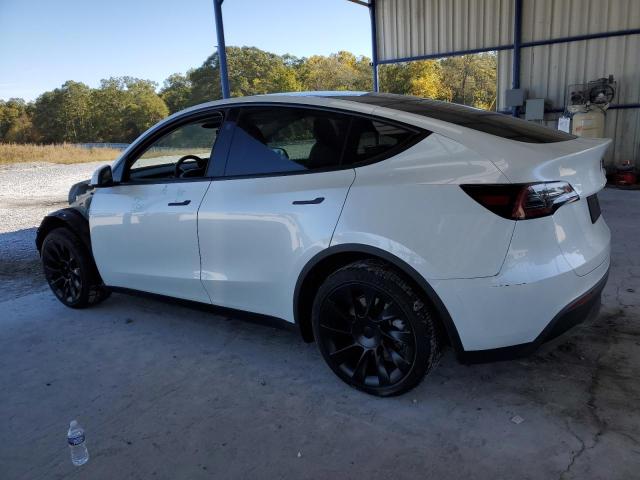 2023 TESLA MODEL Y - 7SAYGDEEXPA181291