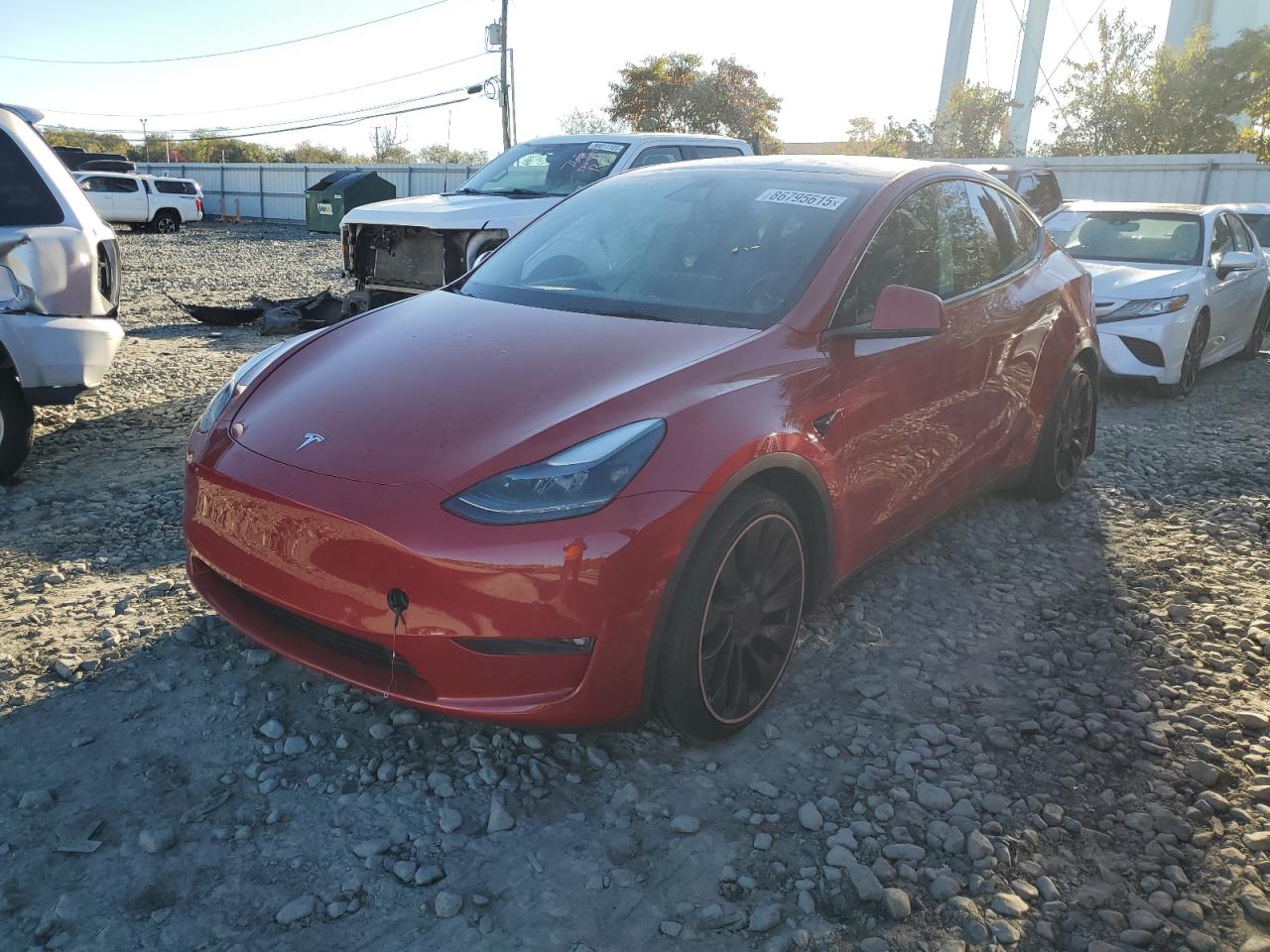 TESLA MODEL Y