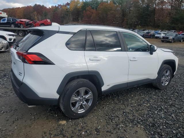 2025 TOYOTA RAV4 XLE #3280305008