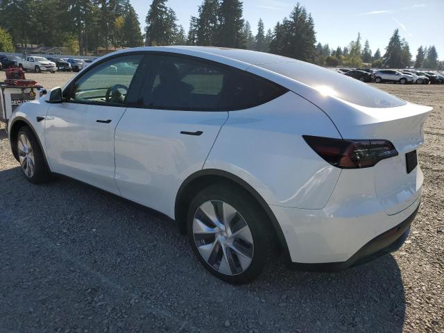 2021 TESLA MODEL Y #3291201990
