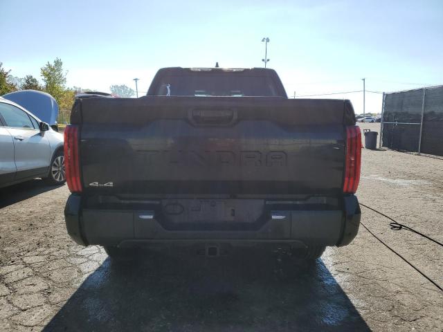 2025 TOYOTA TUNDRA CREWMAX SR 5TFLA5DB5SX296338