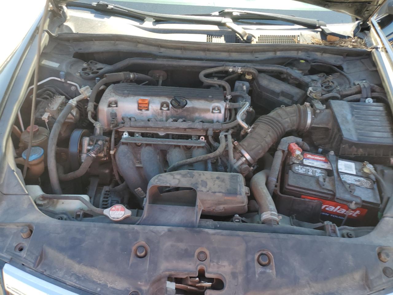 HONDA ACCORD EXL