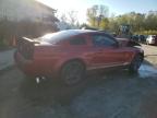 Lot #3296971851 2006 FORD MUSTANG