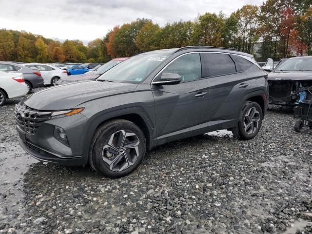 Global Auto Auctions: 2024 HYUNDAI TUCSON LIM