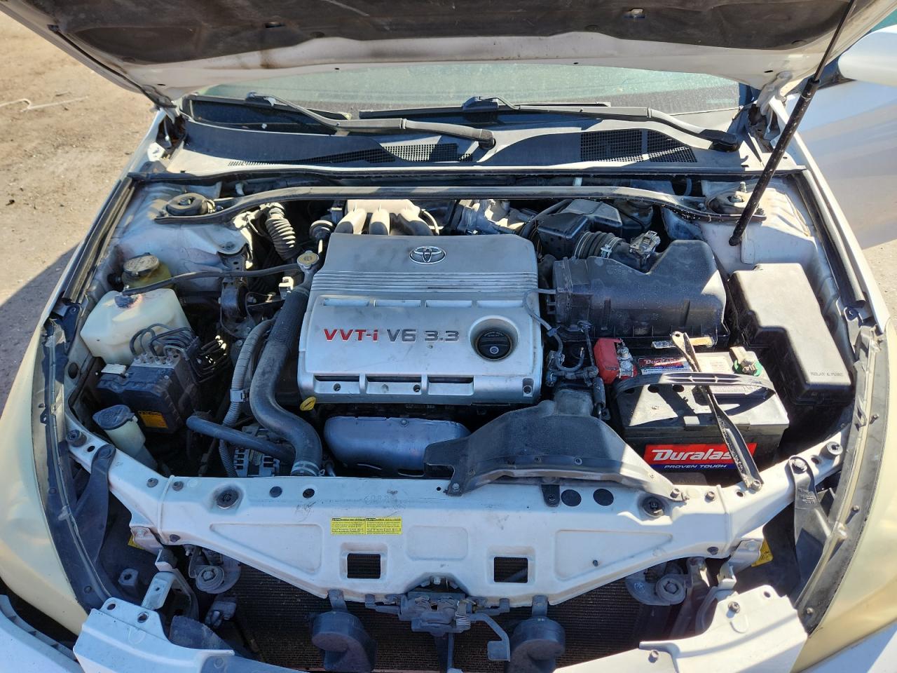 Lot #3280325956 2008 TOYOTA CAMRY SOLA