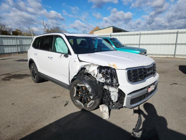 2023 KIA TELLURIDE 5XYP64GC4PG383790