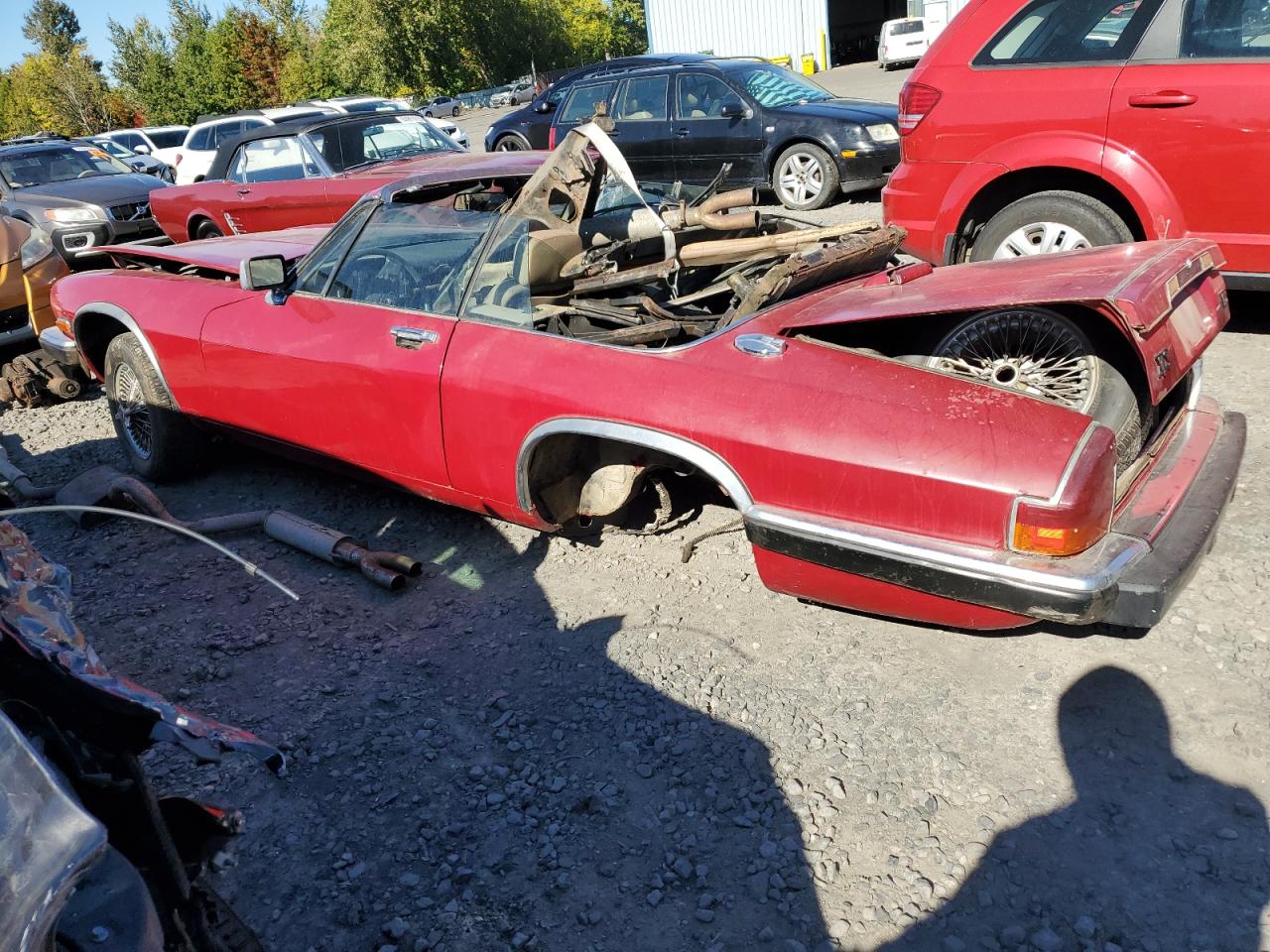 Global Auto Auctions