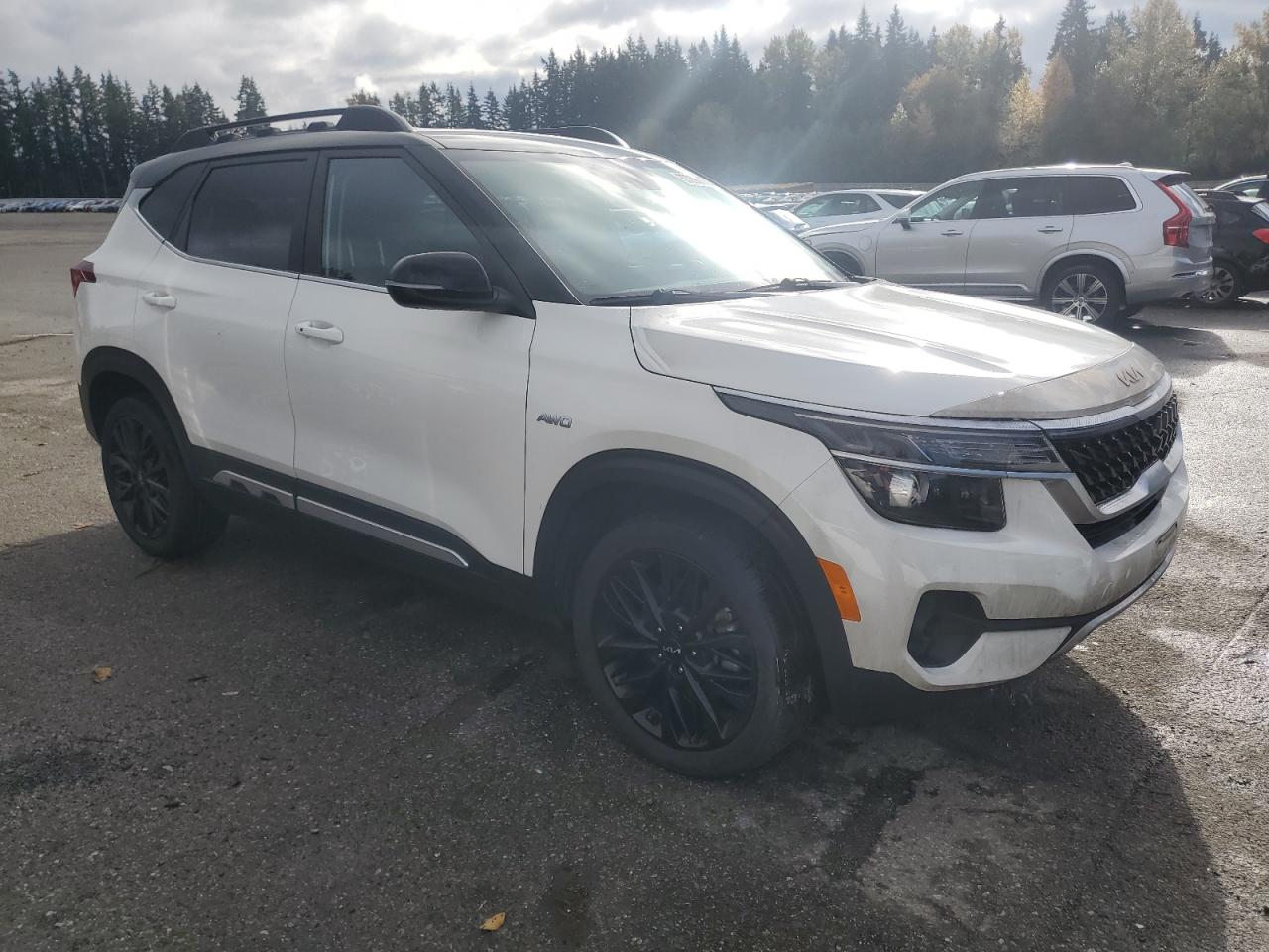 KIA SELTOS NIGHTFALL