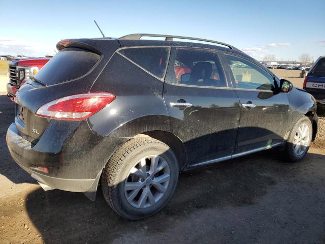 2013 NISSAN MURANO S - JN8AZ1MW2DW306624