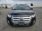 Lot #3301957419 2014 FORD EDGE SEL