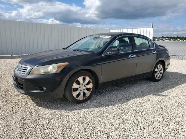 2009 HONDA ACCORD EXL #3304633939