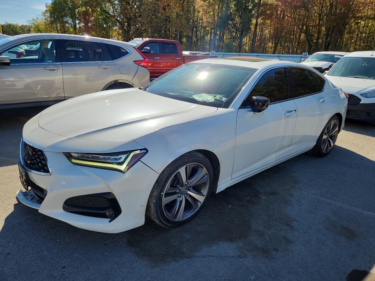 ACURA TLX ADVANCE