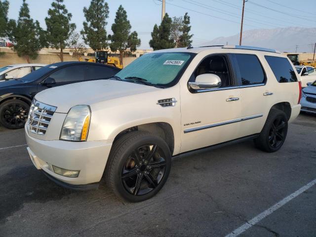 CADILLAC ESCALADE P