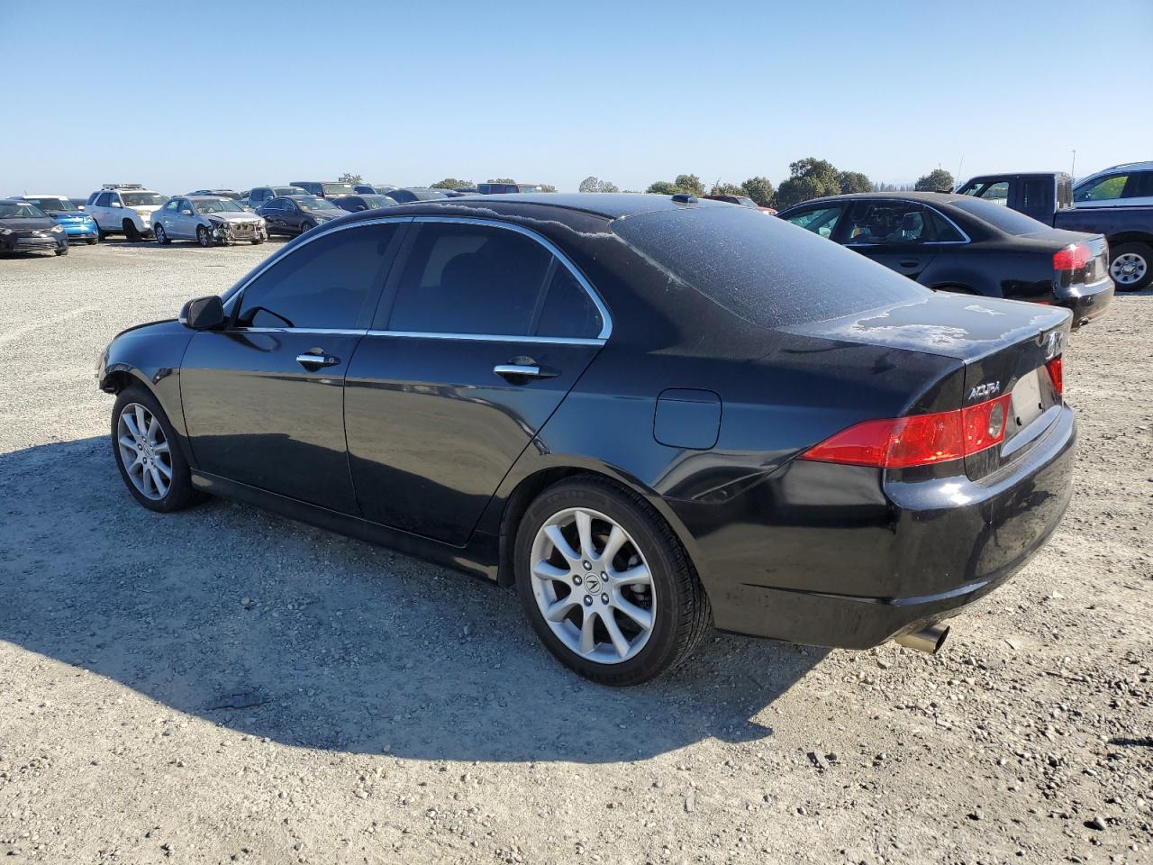 Lot #3302729056 2006 ACURA TSX