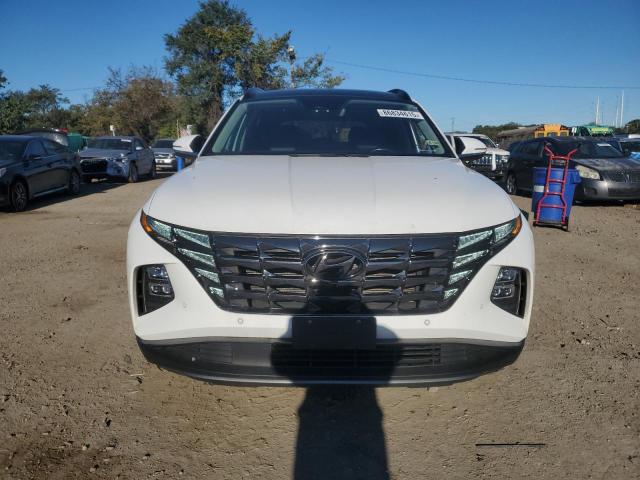 2023 HYUNDAI TUCSON LIM 5NMJECAE6PH237085