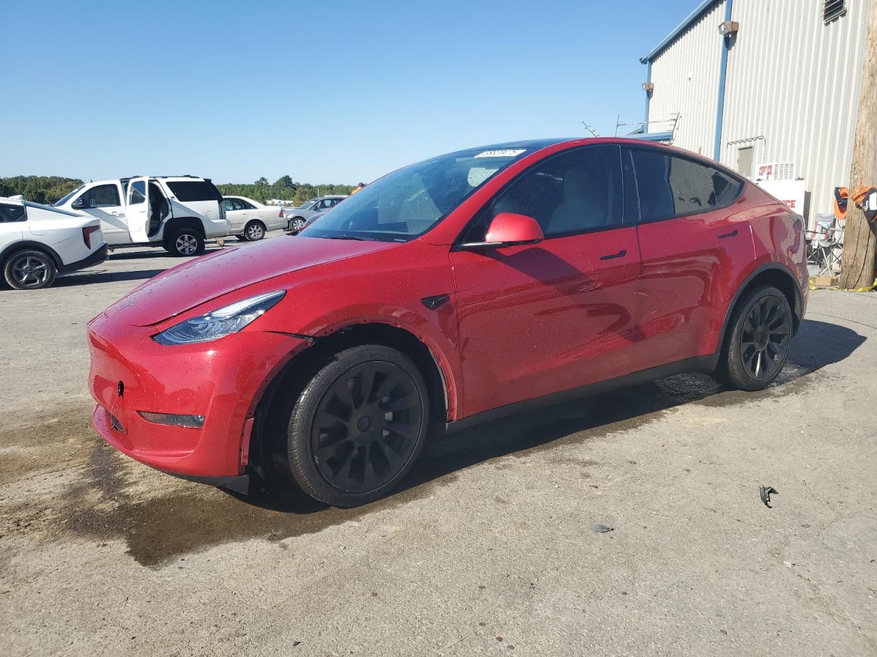 TESLA MODEL Y