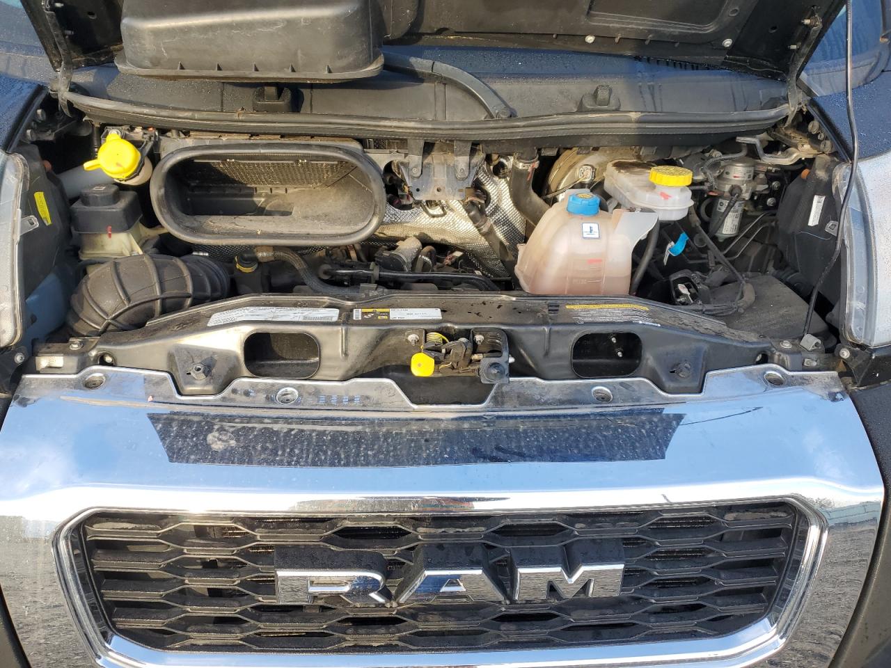 Lot #3290180217 2021 MHOM RAM PRO MASTER