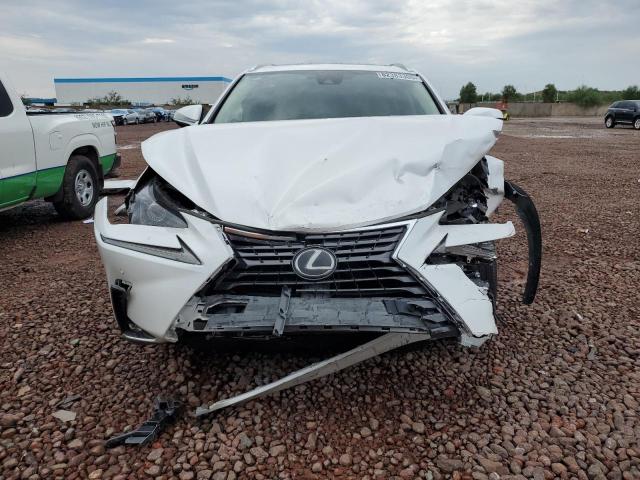 2021 LEXUS NX 300 BAS - JTJGARBZ0M5031962