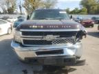 Lot #3294404511 2013 CHEVROLET SILVERADO