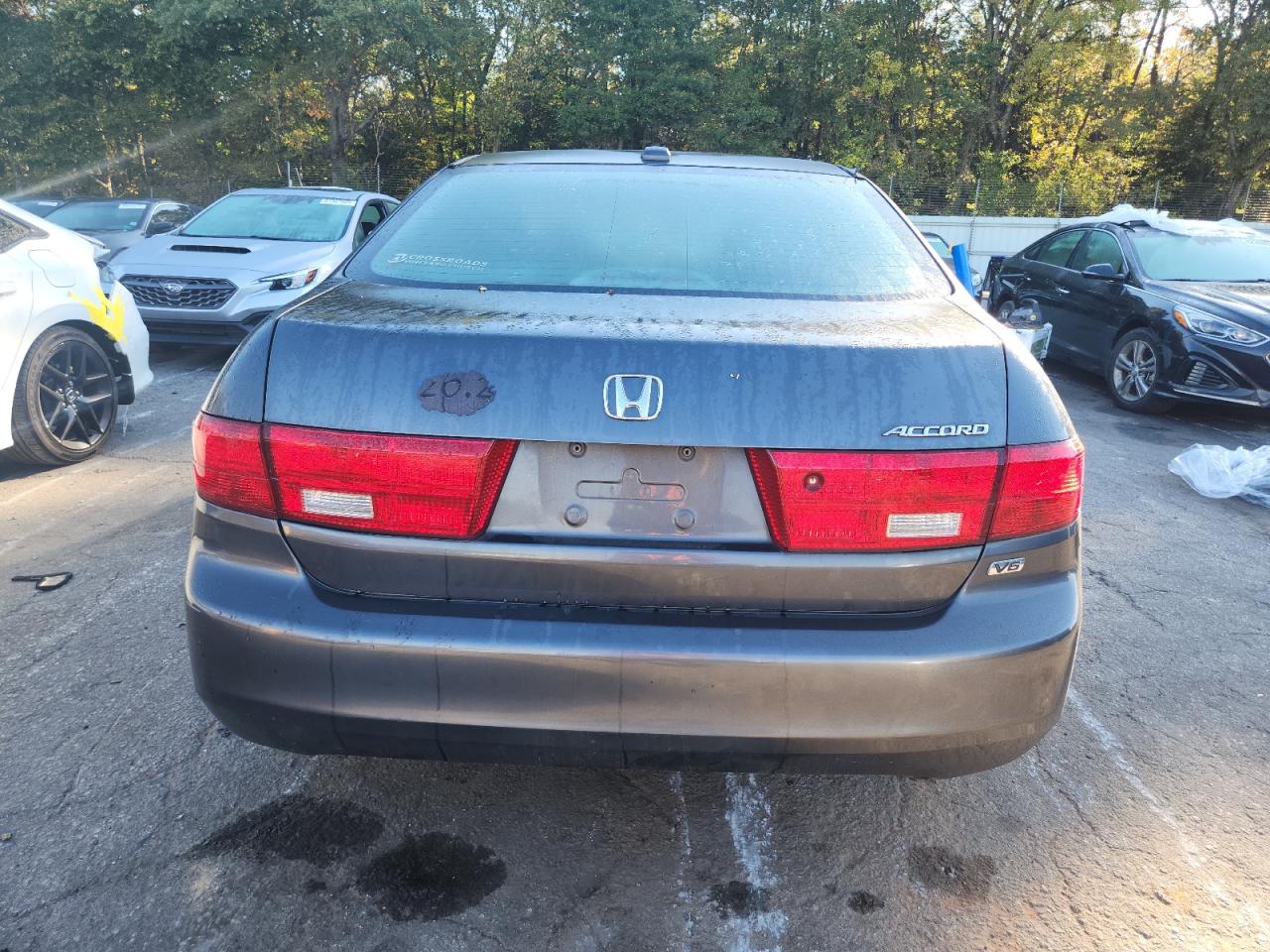 Lot #3279177381 2005 HONDA ACCORD EX