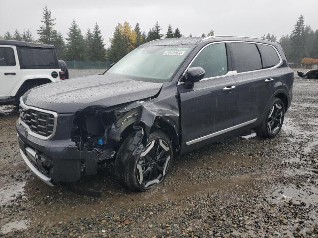 2025 KIA TELLURIDE #3302825924