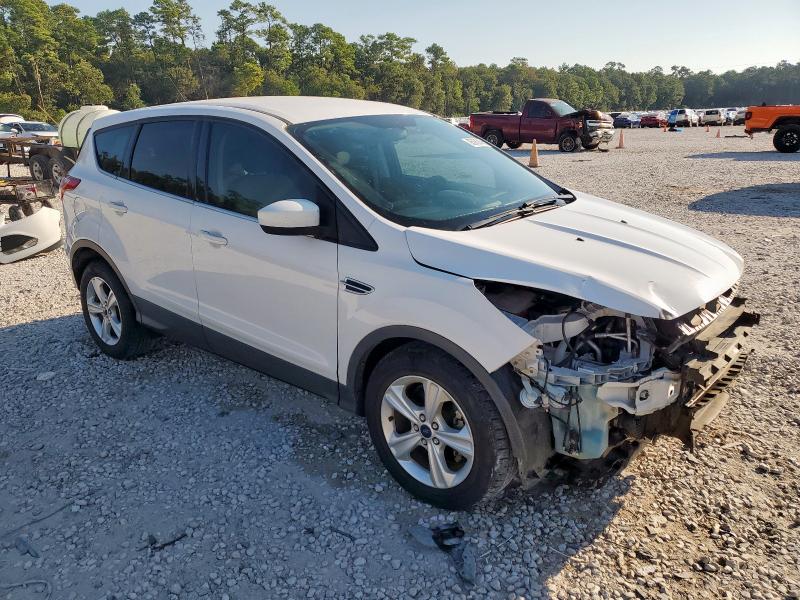 2014 FORD ESCAPE SE - 1FMCU0GX1EUC84495