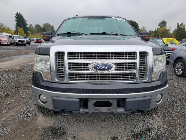 2010 FORD F150 SUPER - 1FTFW1EV4AFA13769