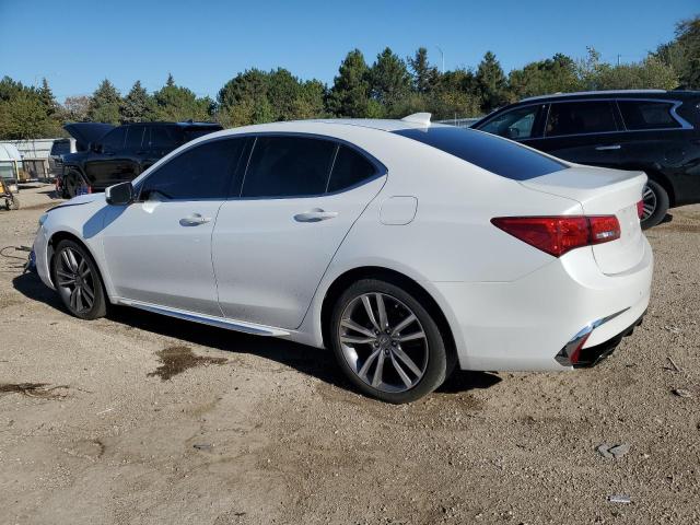 2019 ACURA TLX TECHNO 19UUB3F47KA004276