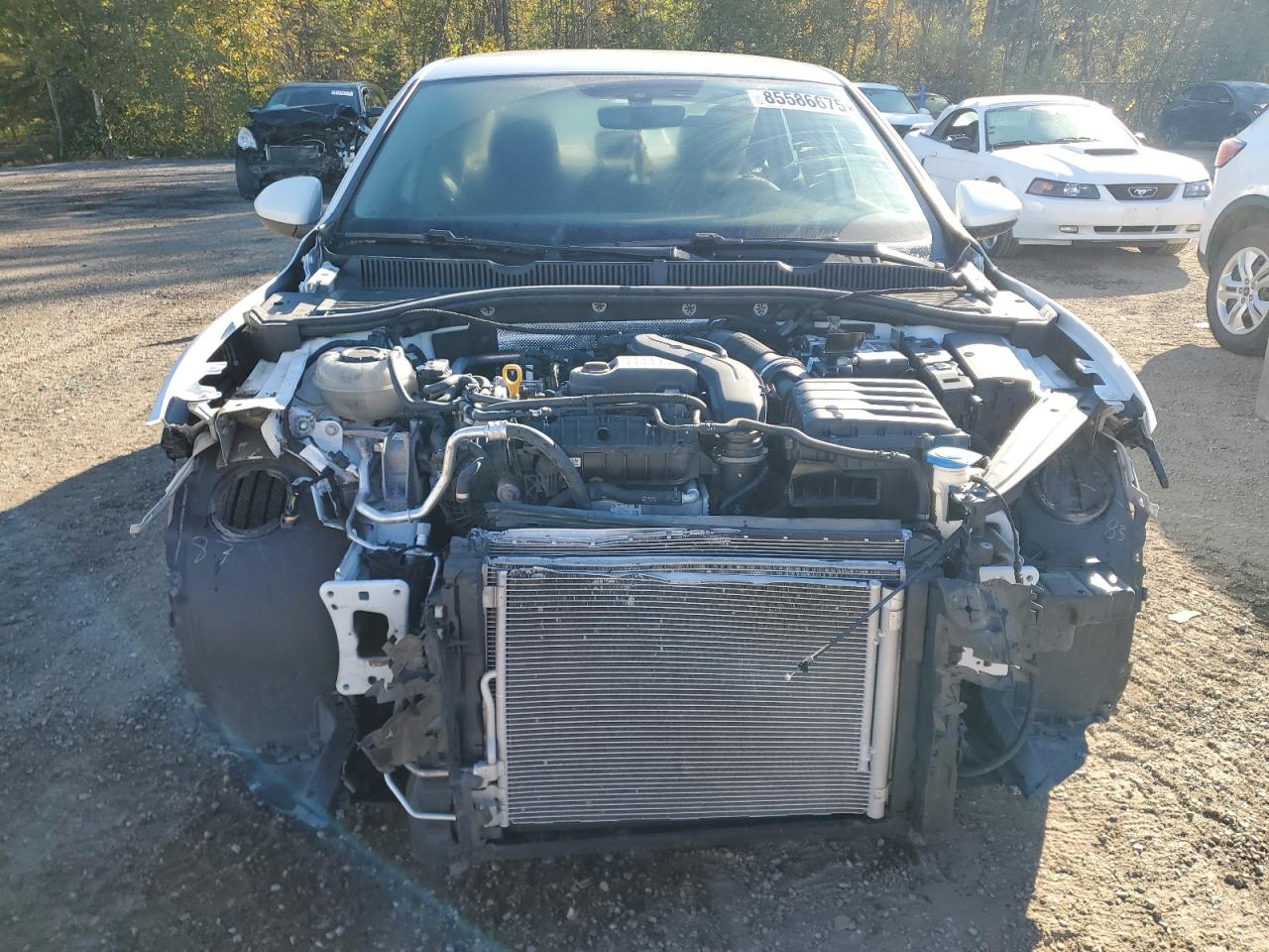 VOLKSWAGEN JETTA TRENDLINE