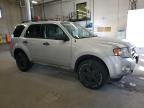 Lot #3303736425 2009 FORD ESCAPE XLT