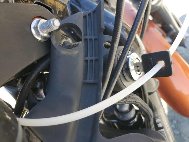 2020 HARLEY-DAVIDSON XL883 N #3292386266